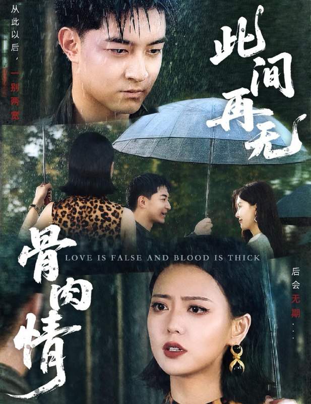 短剧：此间再无骨肉情