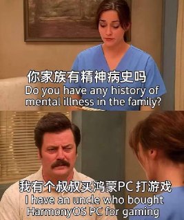 🖼 众所周知，纯血鸿蒙95%行业软件是用不了的。更别说臭打游戏的了......
