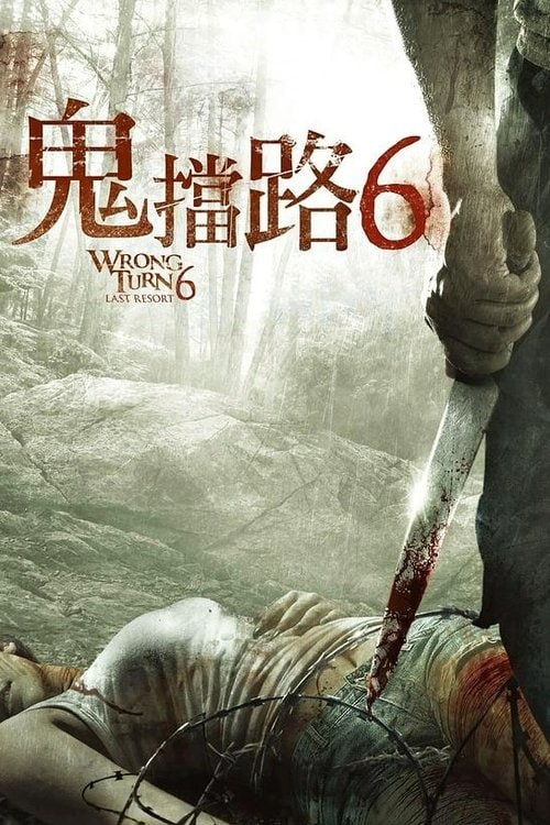 致命弯道6：终极审判