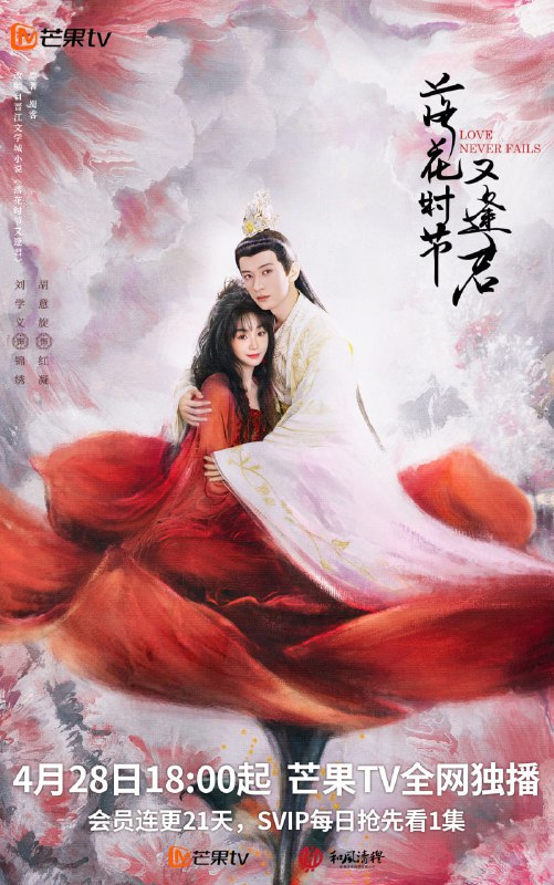 热门剧合集
