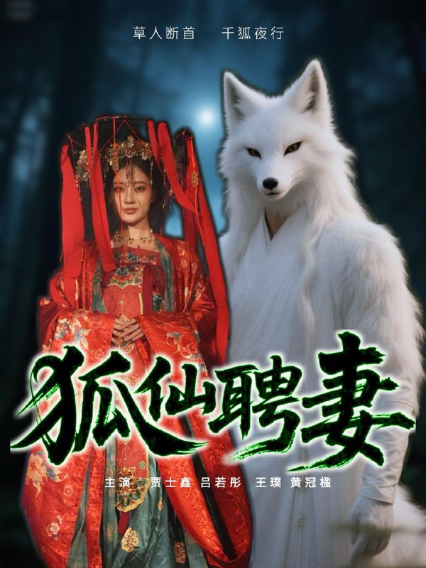2025年7月4日合集目录5 百度网盘