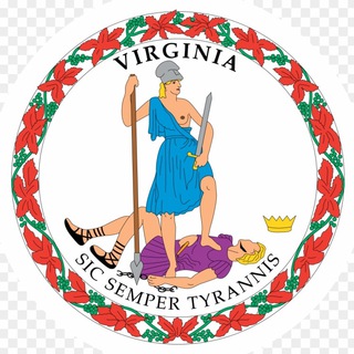 Virginia Audit Channel Telegram Group Link