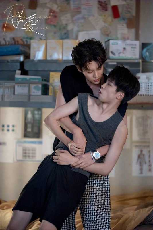 逆爱RevengedLove（2025） 网络资源