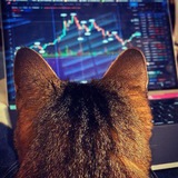 Channel Image