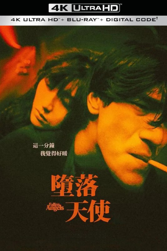 堕落天使 电视剧