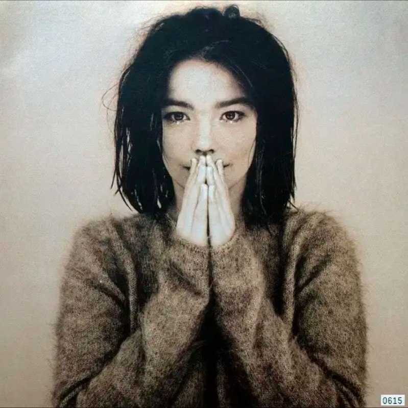 Björk-1993年专辑-Debut