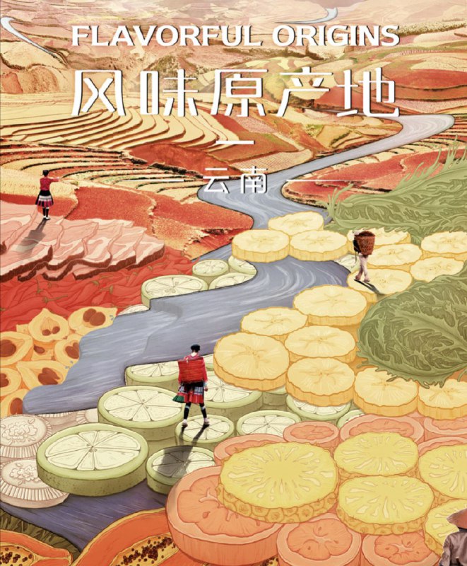 风味原产地·云南 高清资源下载 [纪录片]