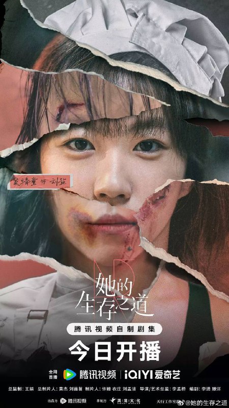 她的生存之道 (2024):女拳手异国寻梦之路,阿里云盘/百度网盘高清资源
