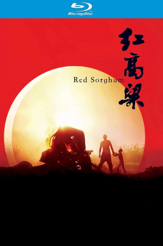 红高粱 订阅（夸克）