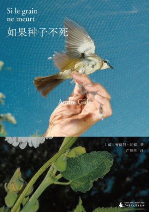 如果种子不死 夸克网盘
