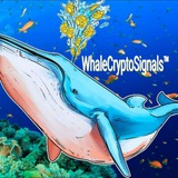 Channel Image